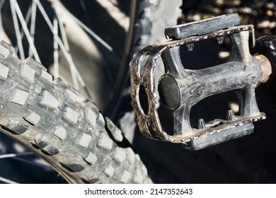 Bicycle Pedal Background. Metal Bike Part. Dusty And Dirty Rubber Tyre Closeup. Used Bicycle In Sunlight.