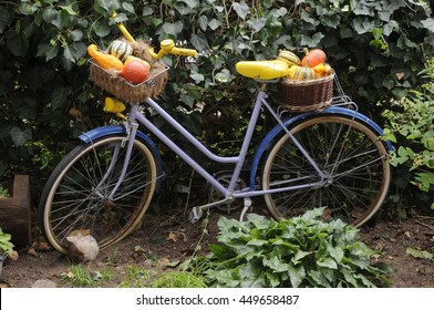 Bicycle with pumpkins