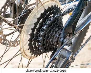bicycle rear derailleur
