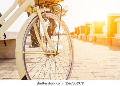 Bicycle for rent. Replacement of tires and bike nipples. Bike purchase. Ecological mode of urban transport. Sport active concept. Types of transport. Without damage to environment. Sun shine effect - Shutterstock ID 1567056979