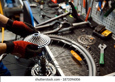 Bicycle repair in workshop, man installs cassette - Shutterstock ID 1873396006