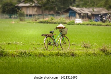 A Bicycle In The Rice Fields Of Mai Chau, Vietnam.