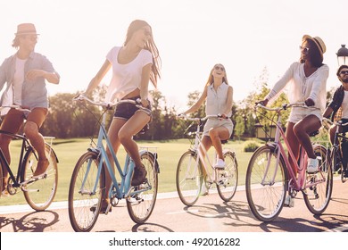 bicycle group