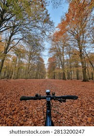 A bicycle rides down a path covered in fallen autumn leaves with trees on either side.