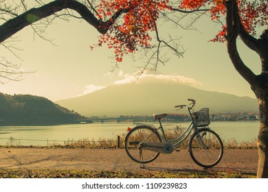 Bicycle Rides At Fuji