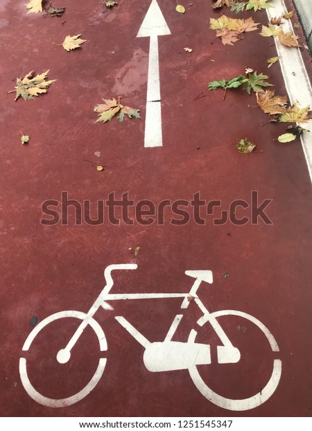 Bicycle sign\
or icon on the orange  road in the\
park