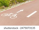 bicycle sign on a bike path in the park. empty bike path in the park. bike path