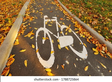 Bicycle sign on the road on the background of yellow autumn leaves