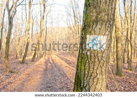 Bicycle sign on a tree in a forest, Hungary                      