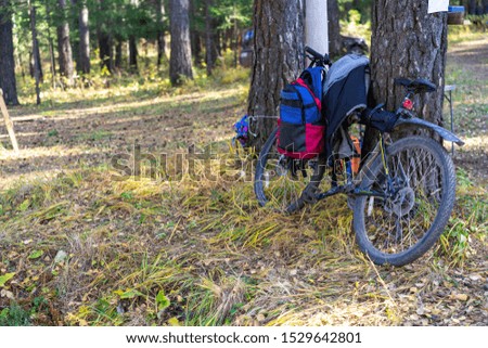 Bicycle stands near a tree in the forest. a backpack and a kurt hang on a bicycle