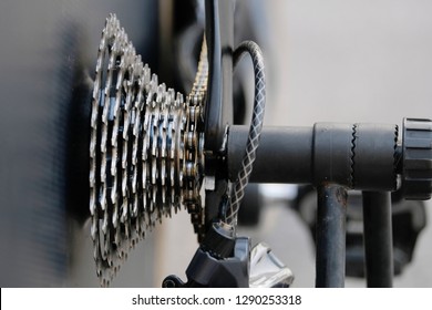 bicycle cogs