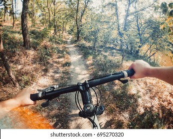 Bicycle Steering Wheel Hand Path Forest Trees Green Go Pro Action Camera. Copy Space.