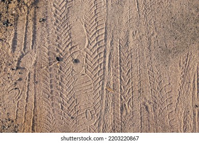 Bicycle tire tracks and footprints in sand, copy space