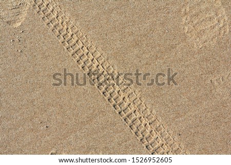 Bicycle tracks on a sand in summer, abstract background