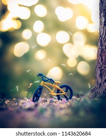 Bicycle Under Tree Still Life Photography