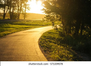 Bicycle And Walking Path In Park