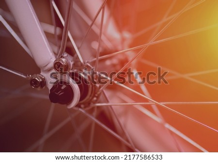 Bicycle wheel close-up. Bicycle spokes
