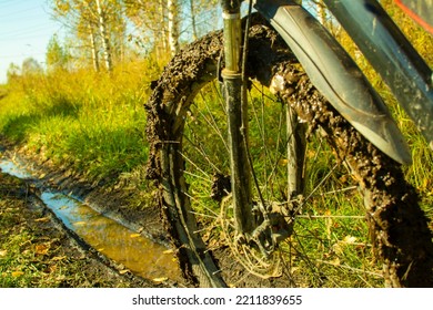 Bicycle Wheel. Dirty And Puddle. Cycling.