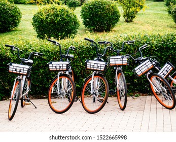 Bicycles are available for rent for city tours. Mobile movement around the city by Bicycle. Bicycle rental.