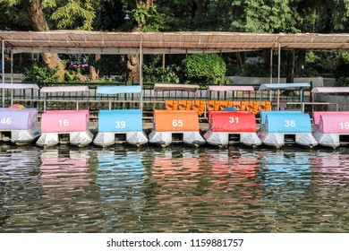 Bicycles Boats In Dusit Zoo