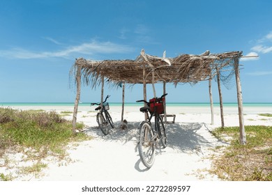 The bicycles of eco-tourists in a tropical beach hut a few feet from the Caribbean Ses - Powered by Shutterstock