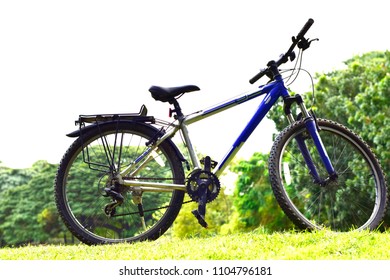 Bicycles in the park