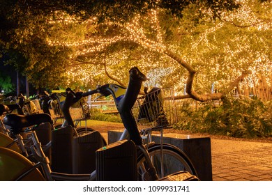 Bicycles under fairy lights - Shutterstock ID 1099931741