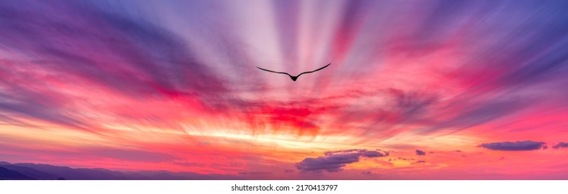 A Bid Silhouette With Wings Spread Is Flying Toward The Light In Banner Image Style