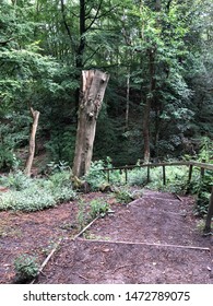 Biddulph Grange Country Park Scenes