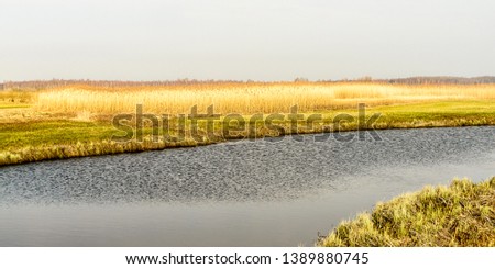 hooge Landscape