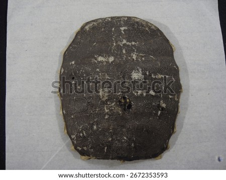 Biegap is the shell of softshell turtles in the family Trionychidae, with a hard center and soft edges. Traditionally boiled as a tonic, it is valued in Korean medicine and also consumed for nutrition