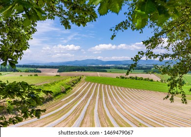 Biei Town Perspective From Sanai Hill