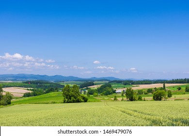 Biei Town Perspective From Sanai Hill