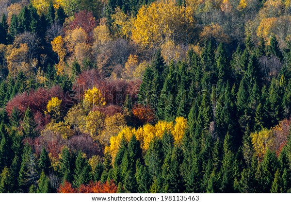 Bieszczady Color Palette Real Autumn Bieszczady Stock Photo 1981135463 ...