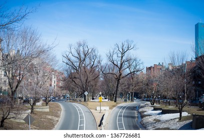 Bifurcation In Commonwealth Avenue, Boston, MA