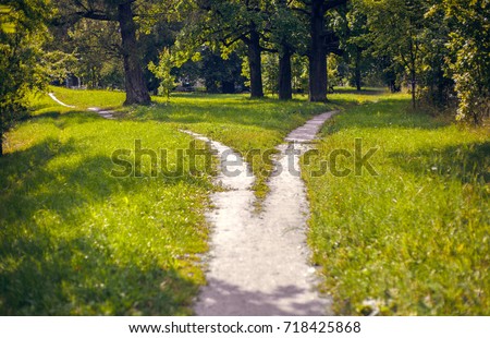Bifurcation of a footpath in the park