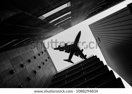 Similar – Image, Stock Photo a bird comes flying Bird