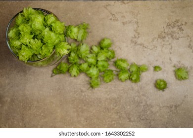 A Big Amount Of Beer Hops Falling From A Full Glass