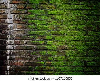 Big amount of green moss on stone brick wall. Frontal shot of an old stone wall with green moss on it. - Powered by Shutterstock