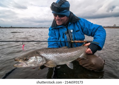Big april sea trout from swedish coast