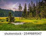 Big Arbersee in the Bavarian Forest National Park. Germany.