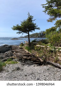 Big Beach Shipwreck Ucluelet British Columbia Stock Photo 1398046964 ...