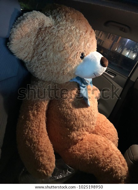 Big Bear in the\
car