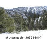 Big Bear Landscape