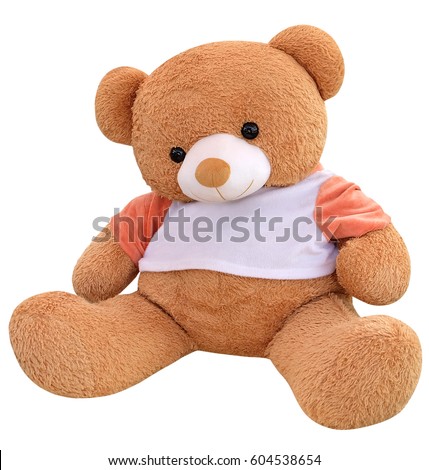 Big Bear soft toy isolated on white background with clipping path.
