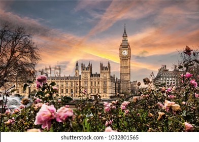 Big Ben, the Palace of Westminster in London, UK. View from a public garden with beautiful roses flowers. - Powered by Shutterstock