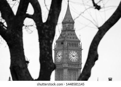 The Big Ben and a tree.