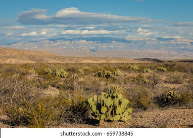 Big Bend National Park