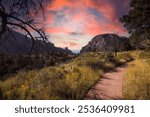 Big Bend National Park sunset along a trails