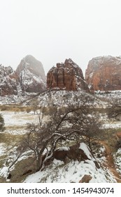 Big Bend Viewpoint In Zion National Park After Snow Storm